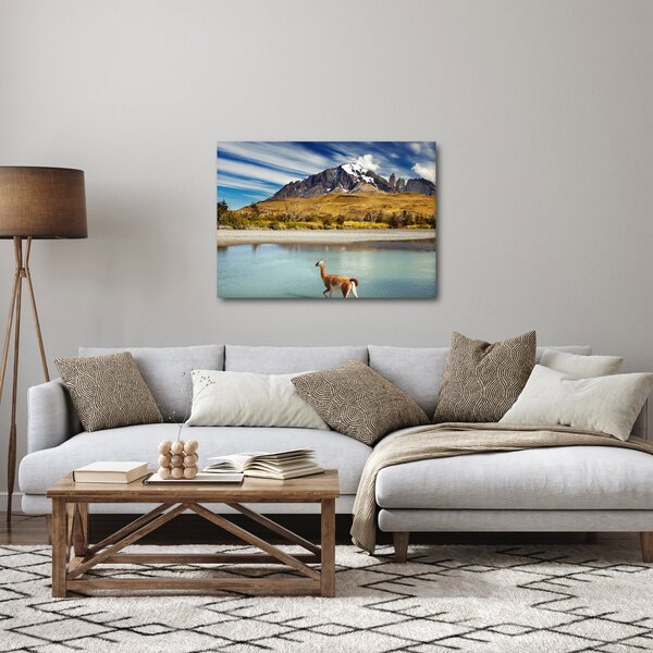 Obraz - Park Narodowy Torres del Paine (70x50 cm)