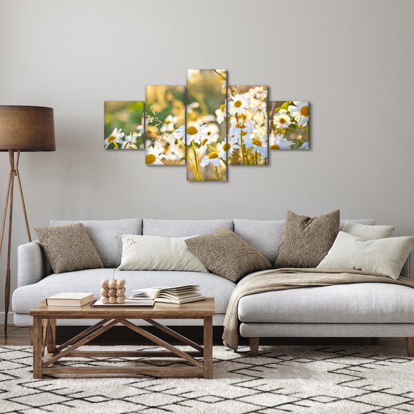 Obraz - Stokrotki (125x70 cm)