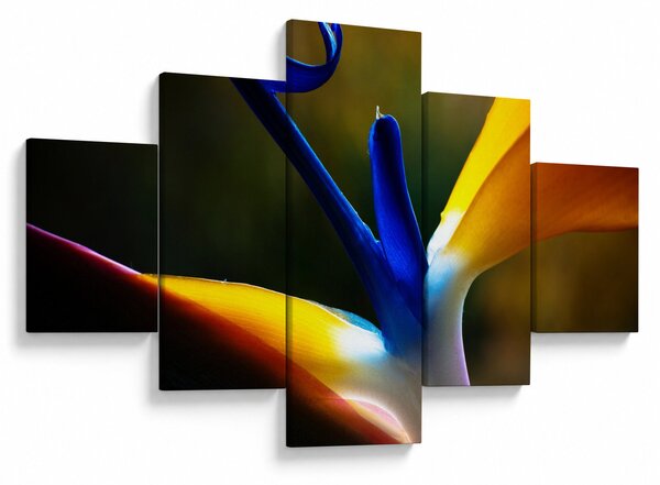 Obraz - Egzotyczny kwiat (125x70 cm)