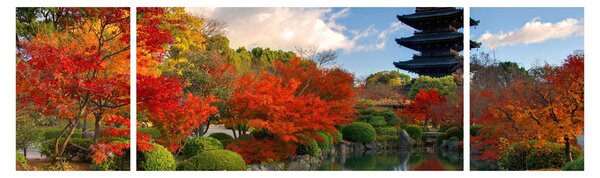 Obraz - Tō-ji (170x50 cm)