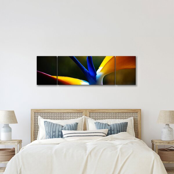 Obraz - Egzotyczny kwiat (170x50 cm)