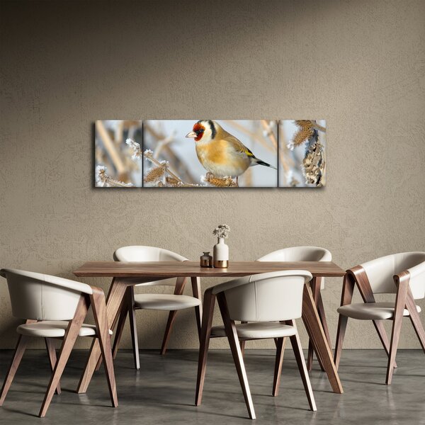 Obraz - Szczygieł (170x50 cm)