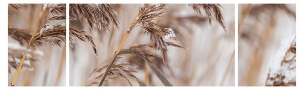 Obraz - Lipnice (170x50 cm)