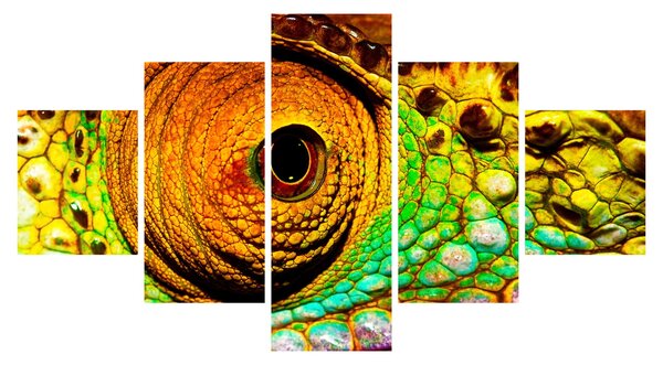 Obraz - Kameleon (125x70 cm)