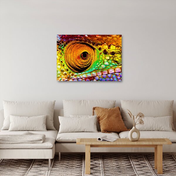 Obraz - Kameleon (70x50 cm)