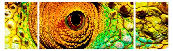 Obraz - Kameleon (170x50 cm)
