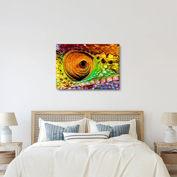 Obraz - Kameleon (70x50 cm)