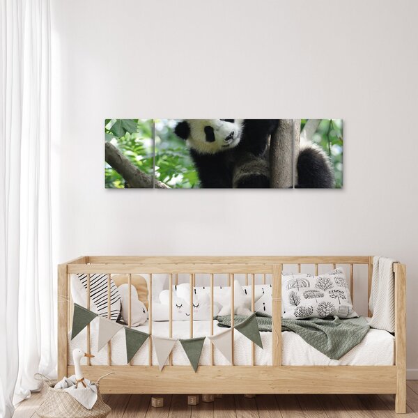 Obraz - Panda na drzewie (170x50 cm)