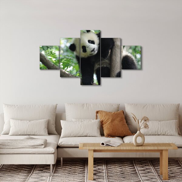 Obraz - Panda na drzewie (125x70 cm)
