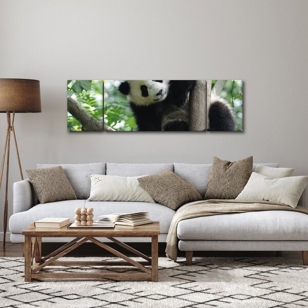 Obraz - Panda na drzewie (170x50 cm)