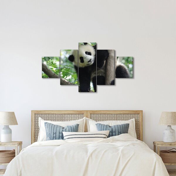 Obraz - Panda na drzewie (125x70 cm)