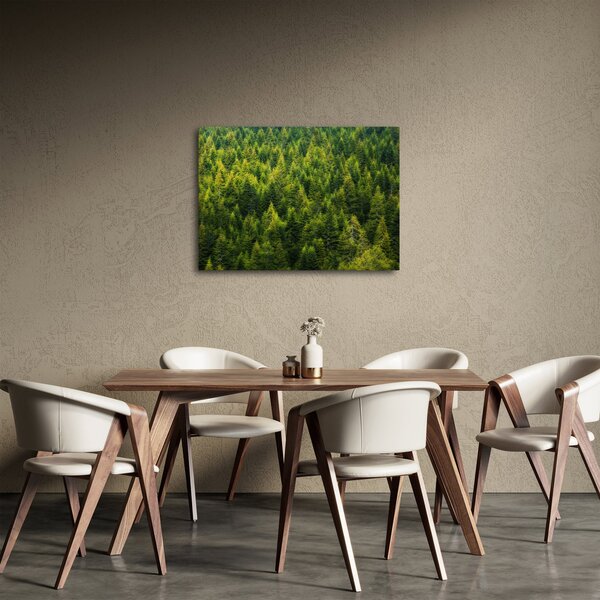 Obraz - Gęsty las (70x50 cm)