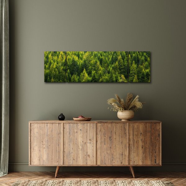 Obraz - Gęsty las (170x50 cm)