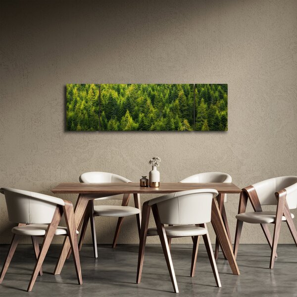 Obraz - Gęsty las (170x50 cm)