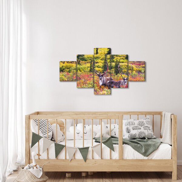 Obraz - Renifer tundrowy (125x70 cm)