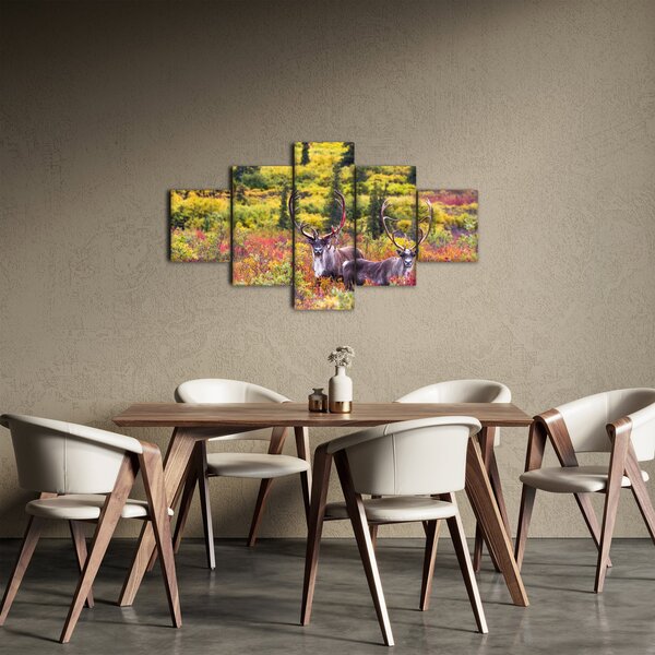 Obraz - Renifer tundrowy (125x70 cm)