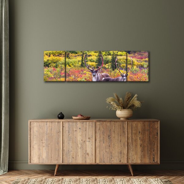 Obraz - Renifer tundrowy (170x50 cm)