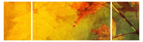 Obraz - Jesienne liście (170x50 cm)