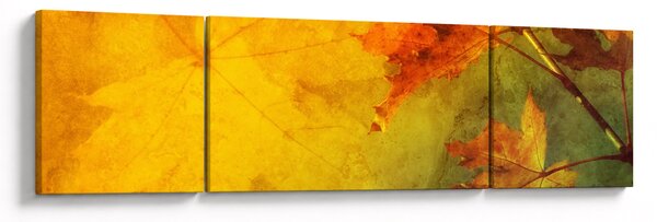 Obraz - Jesienne liście (170x50 cm)