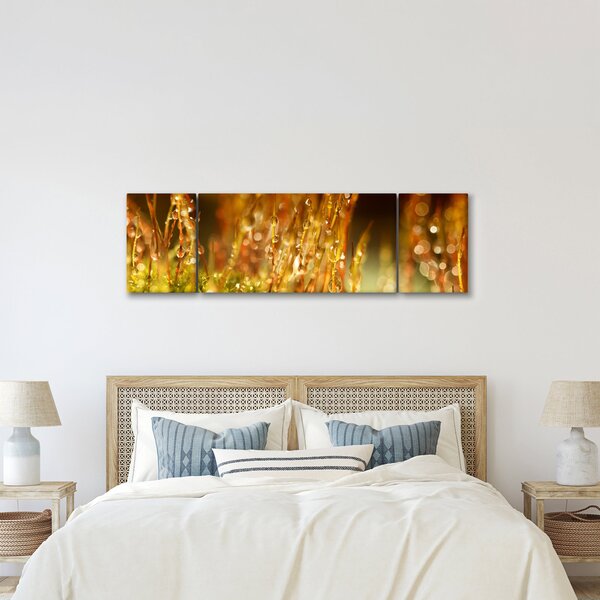 Obraz - Szczegół rosy (170x50 cm)