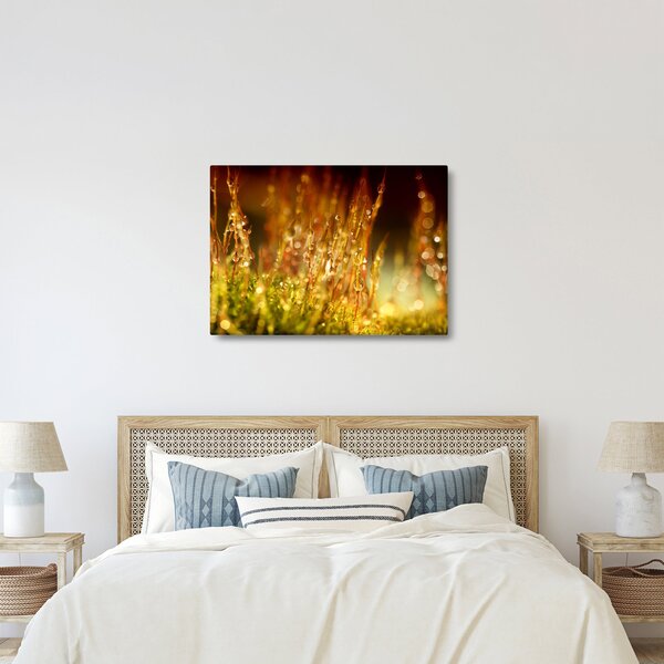 Obraz - Szczegół rosy (70x50 cm)