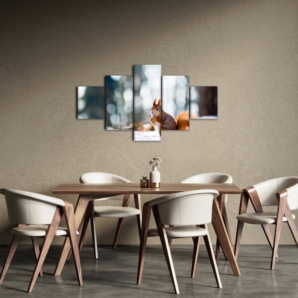 Obraz - Wiewiórka (125x70 cm)