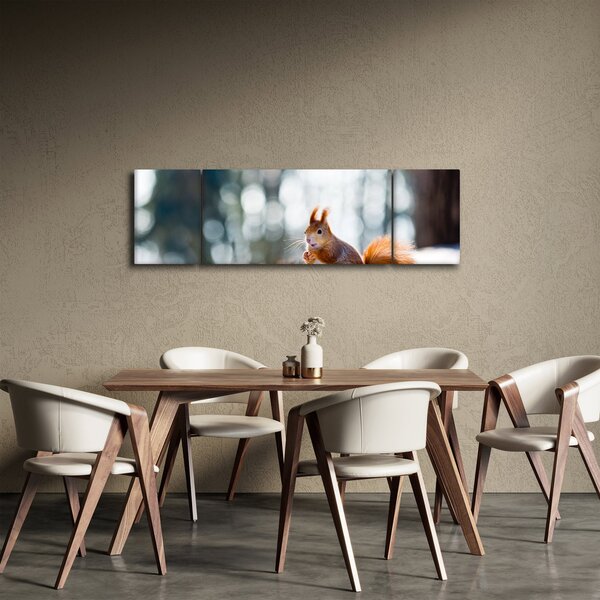 Obraz - Wiewiórka (170x50 cm)
