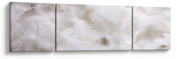 Obraz - Białe pióra (170x50 cm)