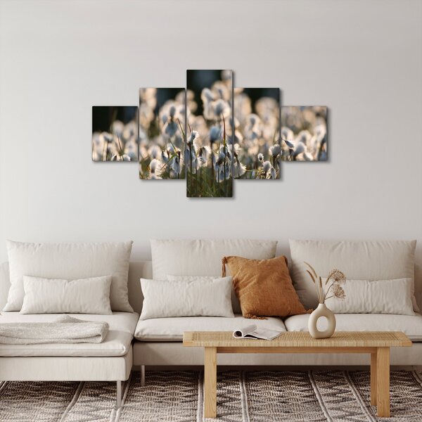 Obraz - Biała wełnianka (125x70 cm)