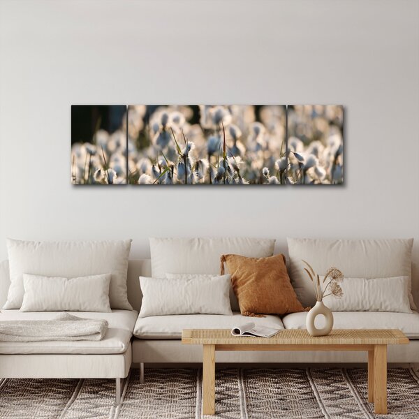 Obraz - Biała wełnianka (170x50 cm)