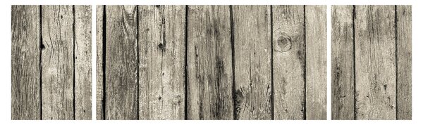 Obraz - Drzewo (170x50 cm)