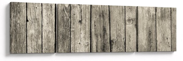 Obraz - Drzewo (170x50 cm)