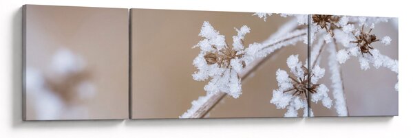 Obraz - Mróz (170x50 cm)
