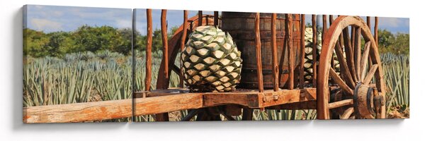 Obraz - Przyczepka (170x50 cm)