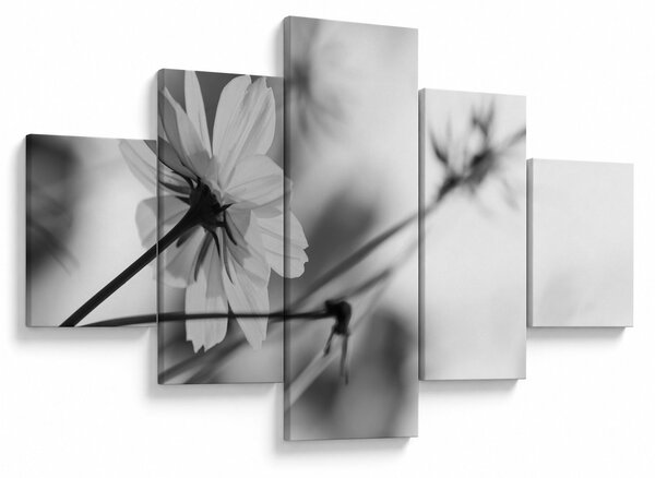 Obraz - Czarno - białe kwiaty (125x70 cm)