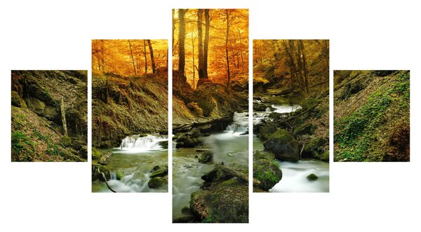 Obraz - Las (125x70 cm)
