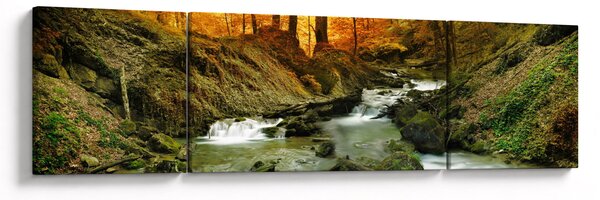 Obraz - Las (170x50 cm)