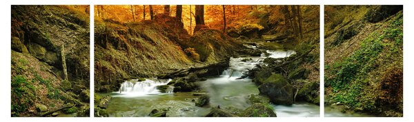 Obraz - Las (170x50 cm)