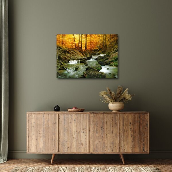 Obraz - Las (70x50 cm)
