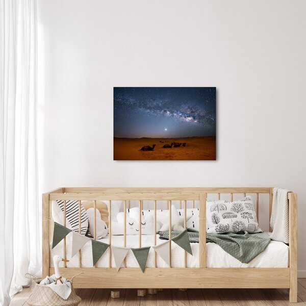 Obraz - Noc na pustyni (70x50 cm)