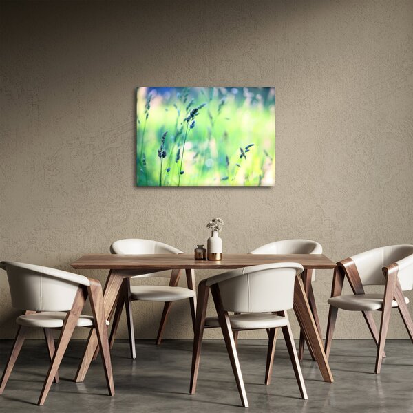 Obraz - Szczegół łąki (70x50 cm)