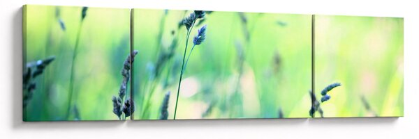 Obraz - Szczegół łąki (170x50 cm)