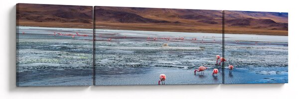 Obraz - Flamingi (170x50 cm)