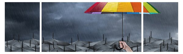 Obraz - Parasole (170x50 cm)