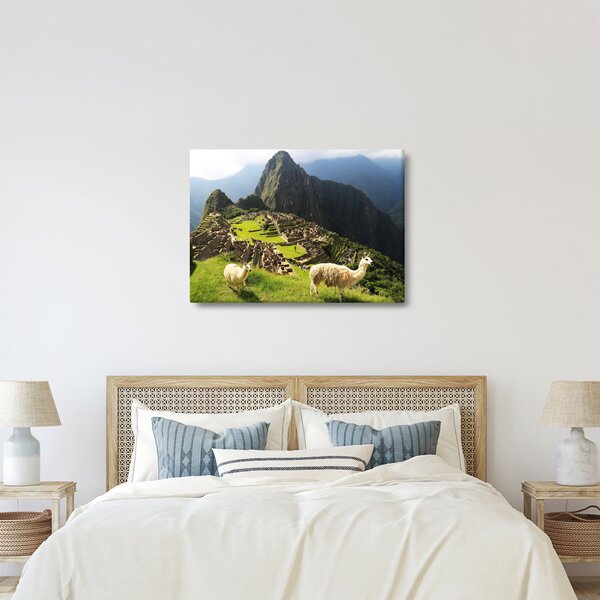 Obraz - Lamy na Machu Picchu (70x50 cm)