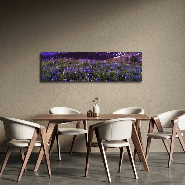 Obraz - Wulkan i kwiaty (170x50 cm)