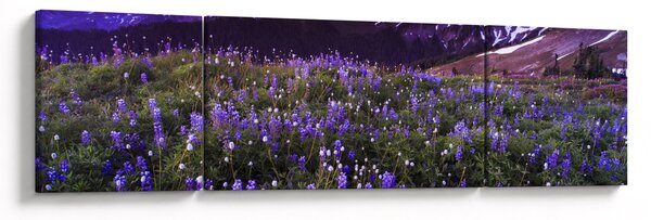 Obraz - Wulkan i kwiaty (170x50 cm)