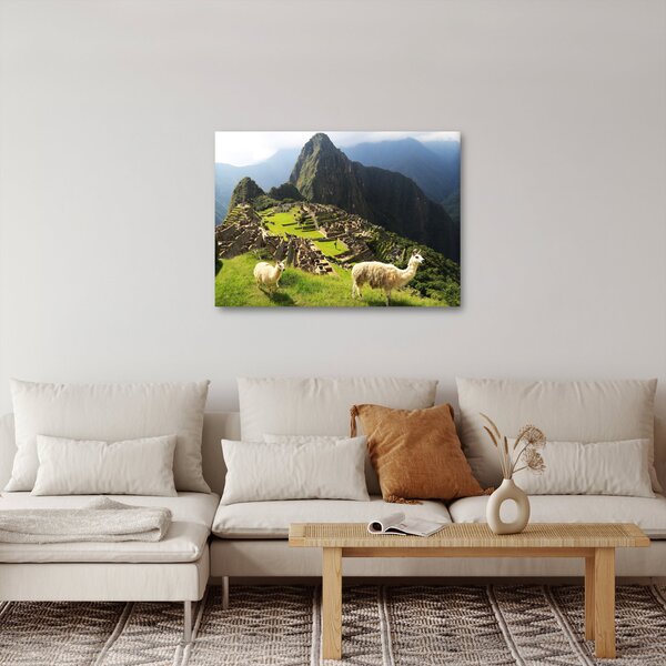 Obraz - Lamy na Machu Picchu (70x50 cm)