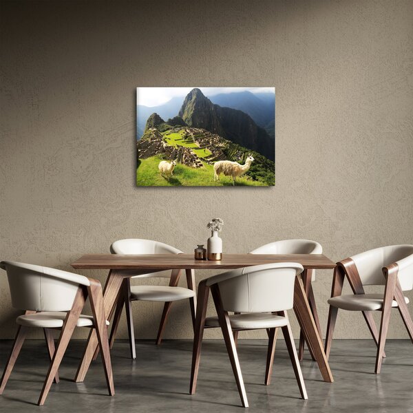 Obraz - Lamy na Machu Picchu (70x50 cm)
