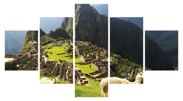 Obraz - Lamy na Machu Picchu (125x70 cm)